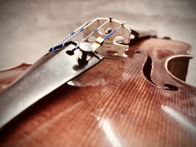 Chardon et Fils Paris 1903 Violin-5